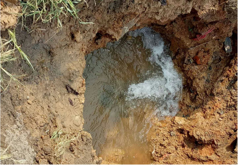 1658804964624776.jpg 380699af-47f3-4d31-9488-c01adc2f7477.jpg