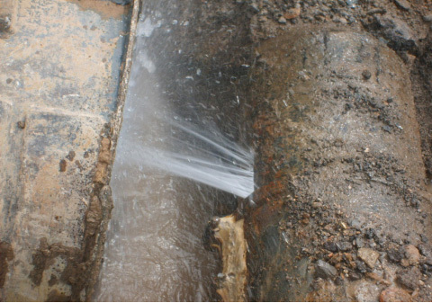 1658805257205626.jpg b0404326-b21b-45fc-ad3c-7b95827157c6.jpg