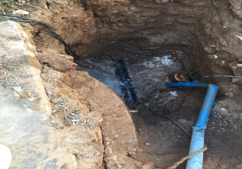 1658805466466471.jpg d834066c-2fae-4396-a225-2c7c73deb4e7.jpg